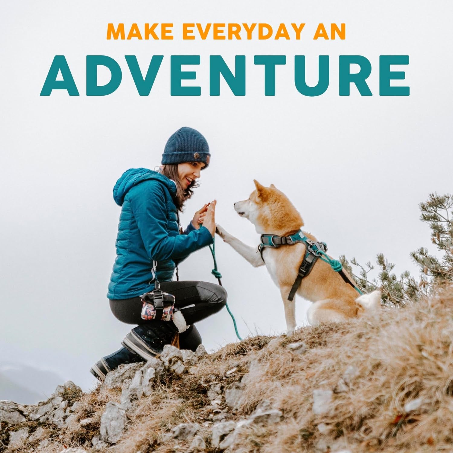 Embark Adventure Small Dog Collar – Stylish, Durable Nylon, Adjustable & Comfortable, Strong Buckle, Unisex