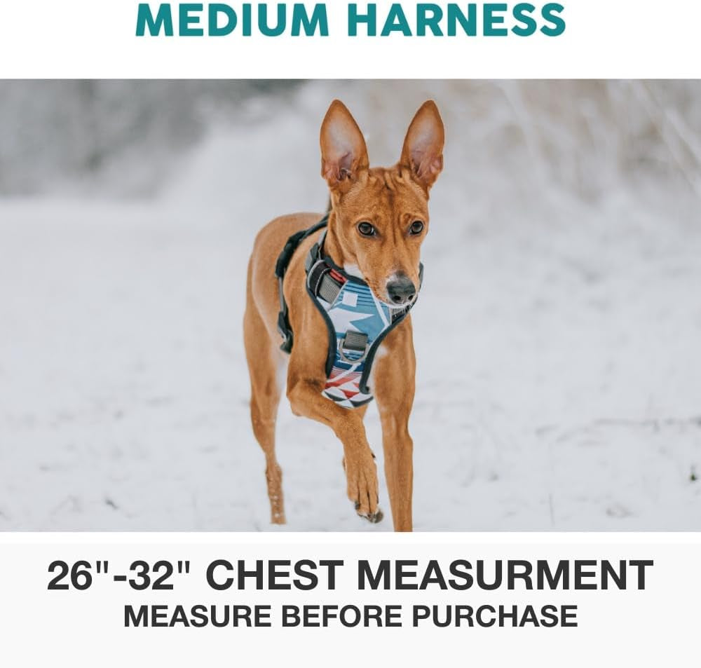 Embark Adventure Medium Dog Harness – No-Pull, Reflective Trim, Military-Grade Nylon, Front Clip with Gel-Lined Handle