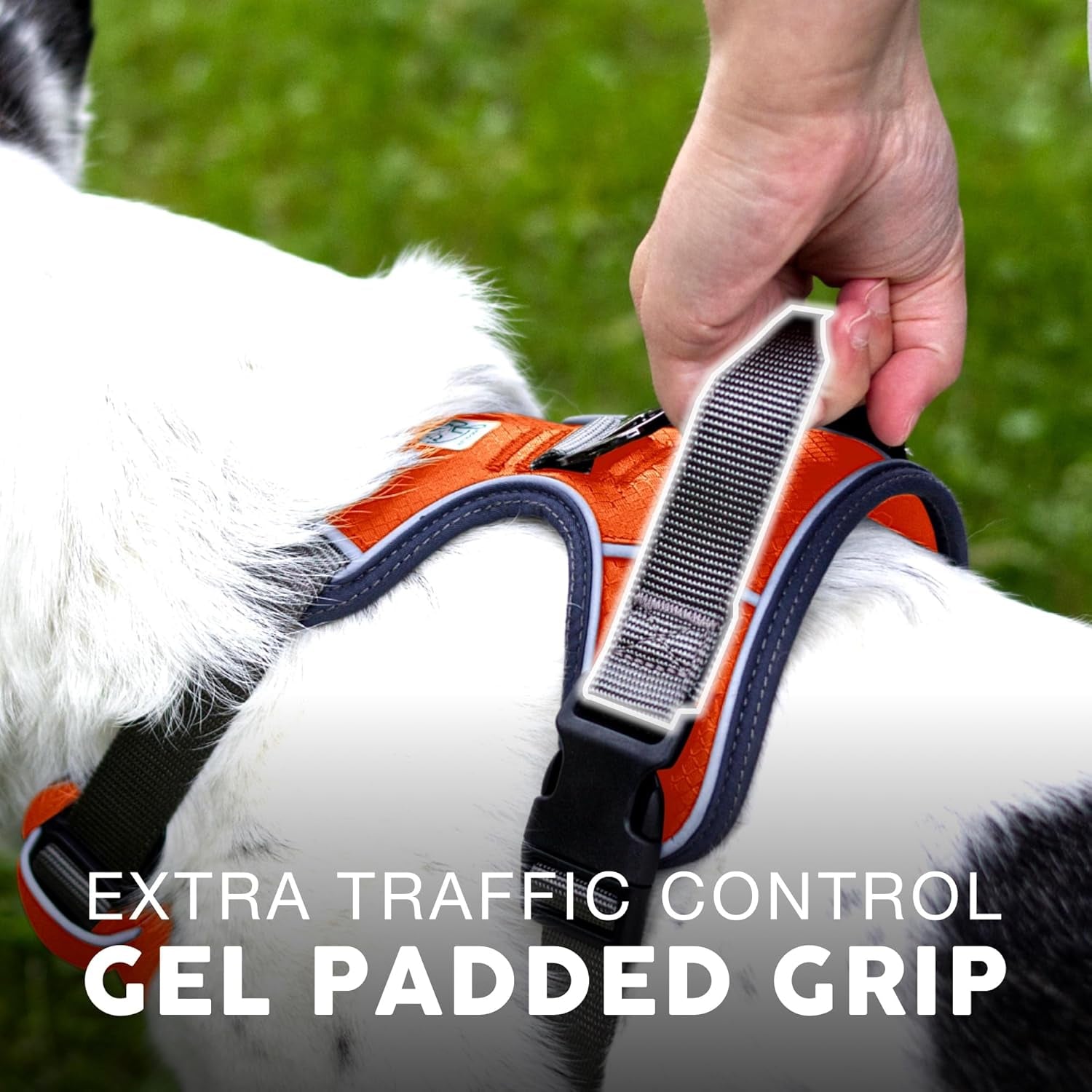 Embark Adventure Medium Dog Harness – No-Pull, Reflective Trim, Military-Grade Nylon, Front Clip with Gel-Lined Handle