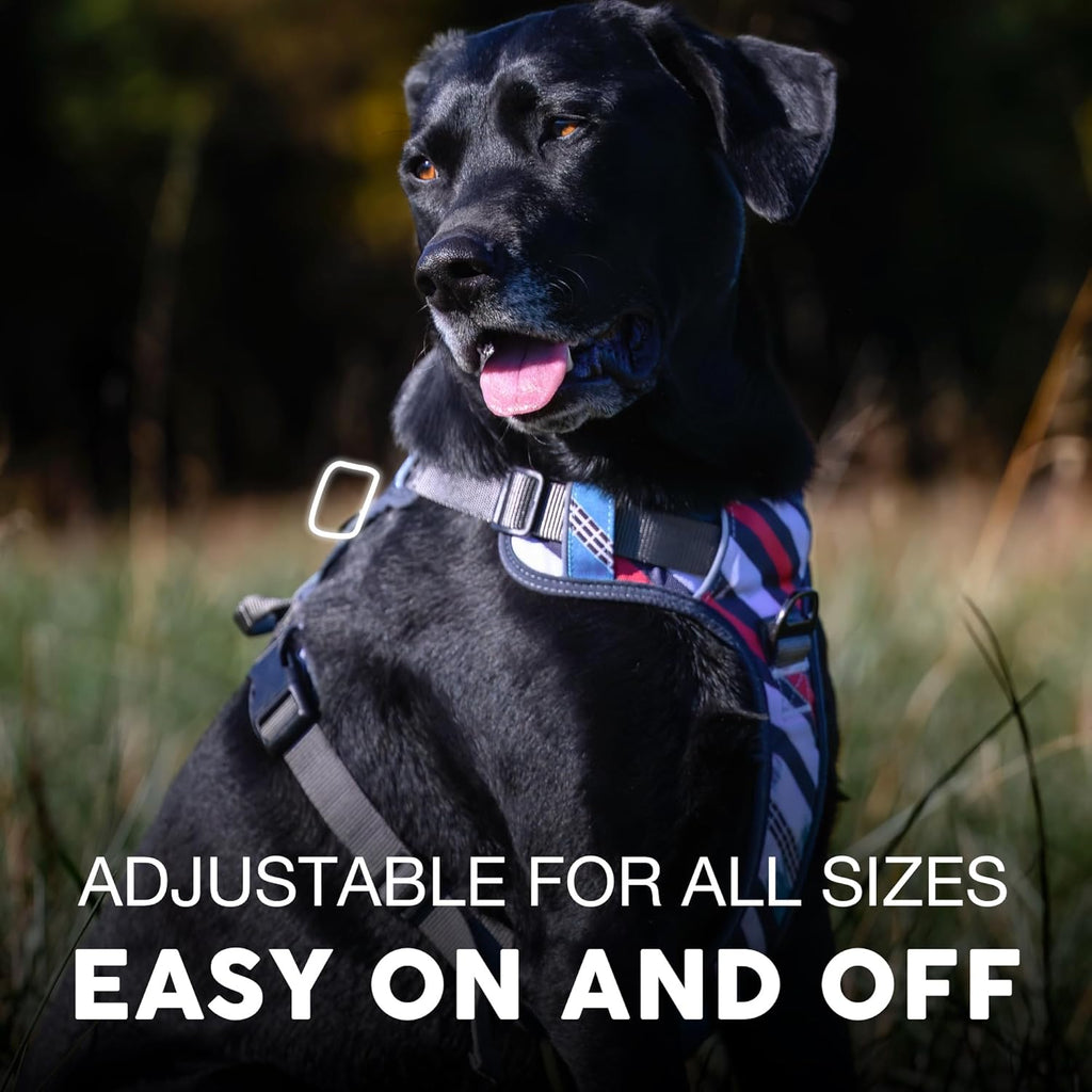 Embark Adventure Medium Dog Harness – No-Pull, Reflective Trim, Military-Grade Nylon, Front Clip with Gel-Lined Handle