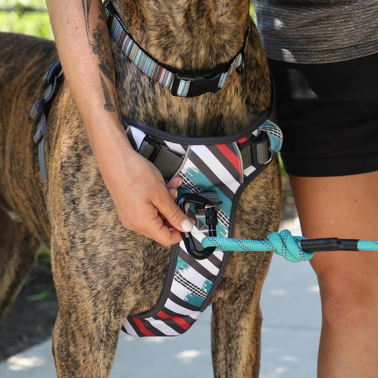 Embark Adventure Medium Dog Harness – No-Pull, Reflective Trim, Military-Grade Nylon, Front Clip with Gel-Lined Handle