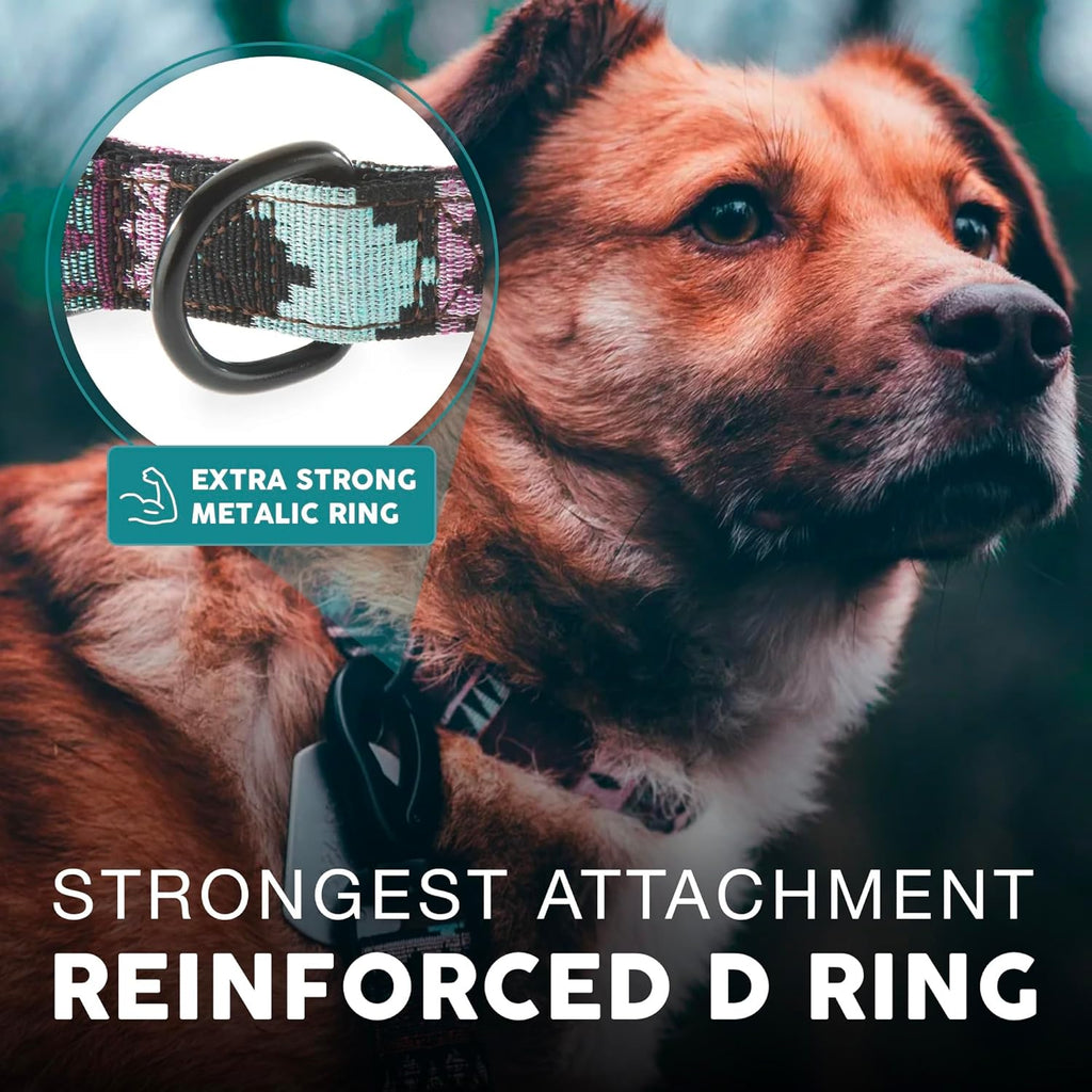 Embark Adventure Small Dog Collar – Stylish, Durable Nylon, Adjustable & Comfortable, Strong Buckle, Unisex