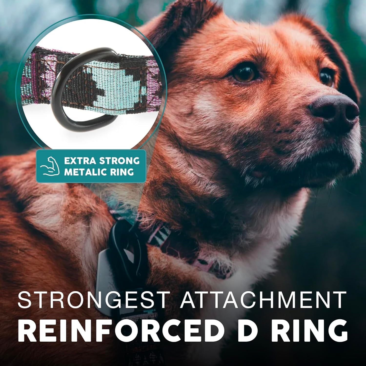 Embark Adventure Small Dog Collar – Stylish, Durable Nylon, Adjustable & Comfortable, Strong Buckle, Unisex