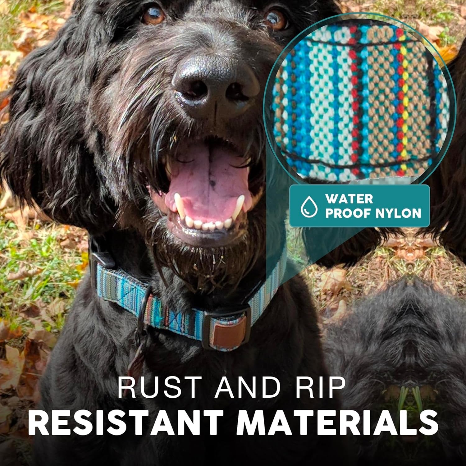 Embark Adventure Small Dog Collar – Stylish, Durable Nylon, Adjustable & Comfortable, Strong Buckle, Unisex